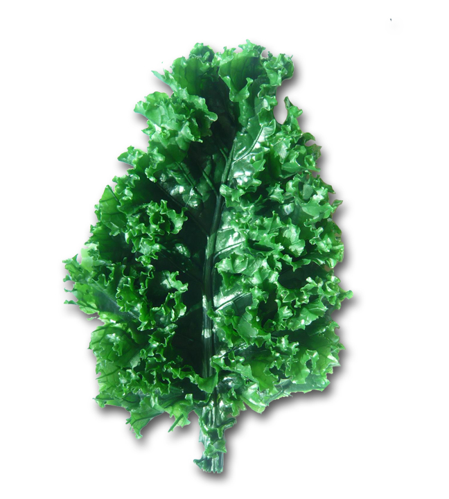 Kale Leaf Replica